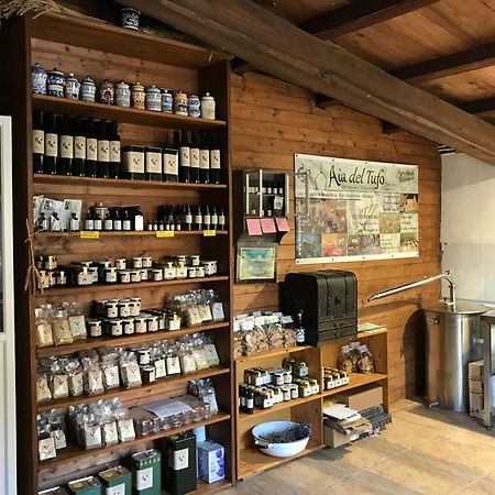 Bio Agriturismo Aia Del Tufo 소르나노 외부 사진
