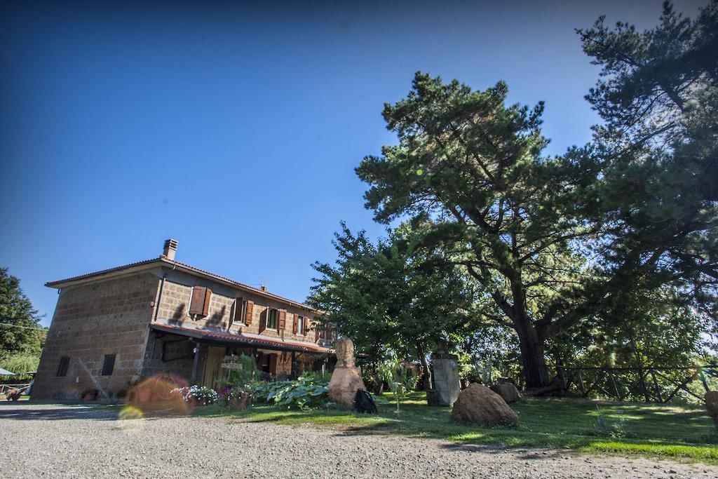 Bio Agriturismo Aia Del Tufo 소르나노 외부 사진
